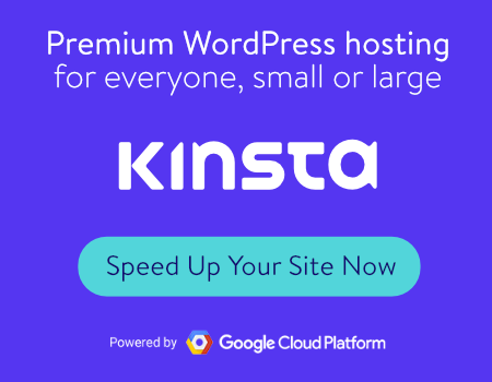 kinsta (for Online Business)