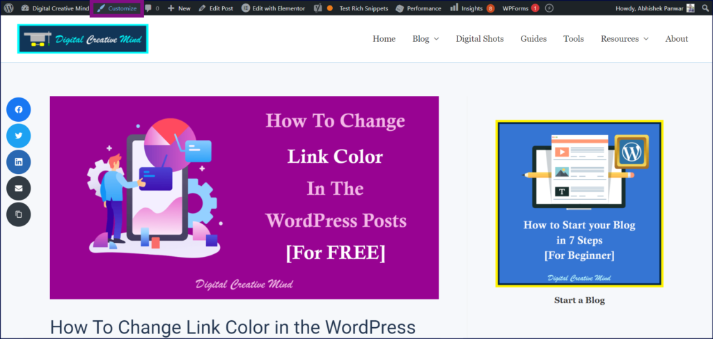 Click on Customize (WordPress)