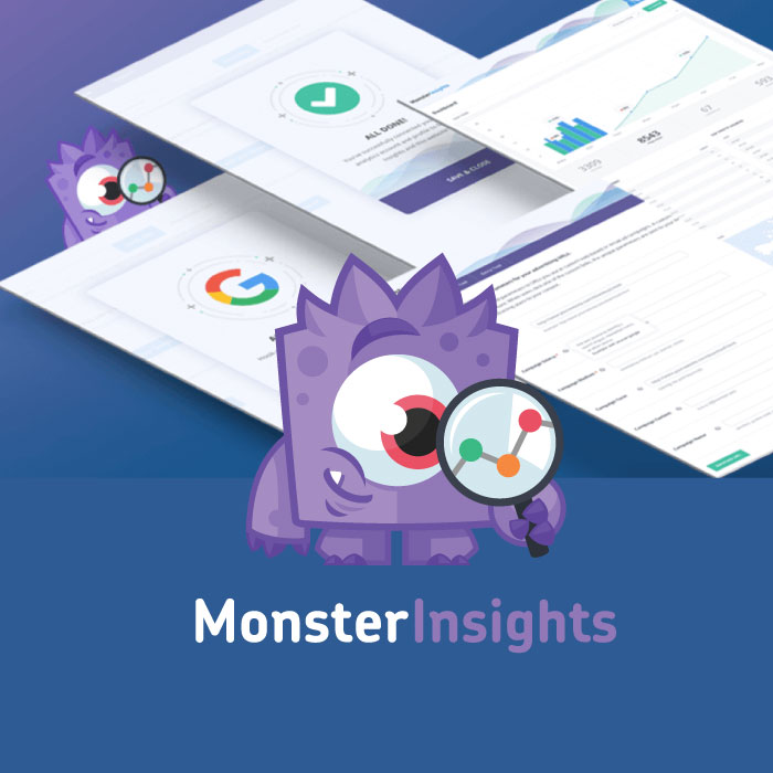 MonsterInsights Plugin