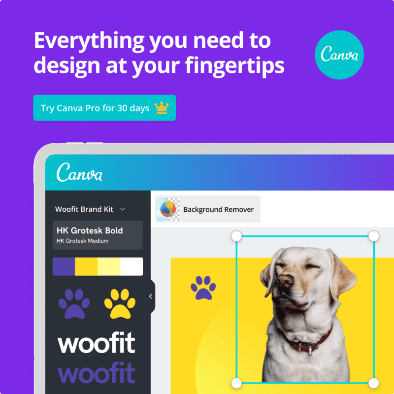 How Much Does Canva Pro Cost Canva Pro Pricing Guide How Much Does Canva Pro Cost Canva Pro Pricing Guide
