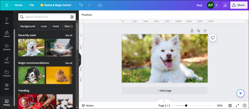 Use an Image in Canva Design